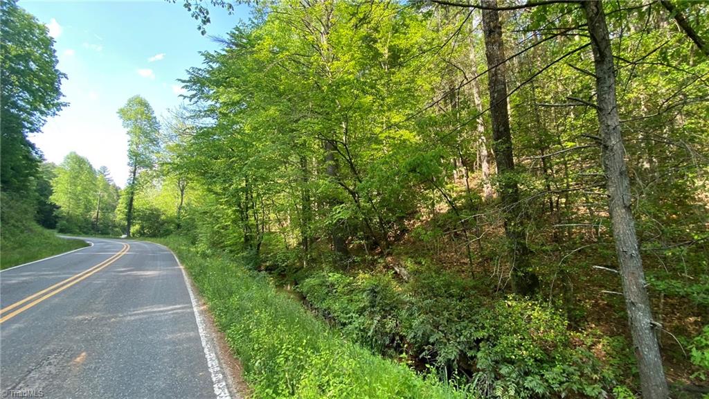 Tbd Rocky Road Lenoir, NC 28645 - Photo 6 of 24 Gallery Image 6