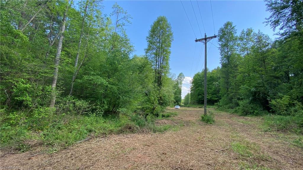 Tbd Rocky Road Lenoir, NC 28645 - Photo 8 of 24 Gallery Image 8