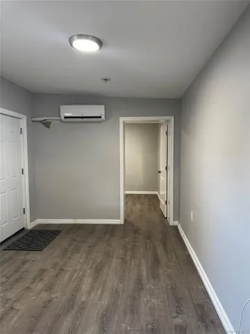 a view of a big room with wooden floor and closet