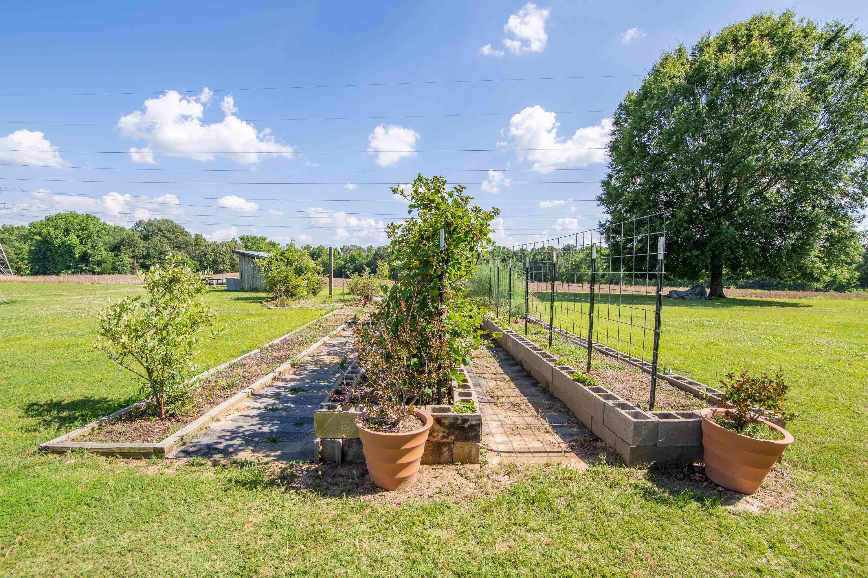 49 Mayo Cook Road Milan, TN 38358 - Photo 39 of 48 Photo 39