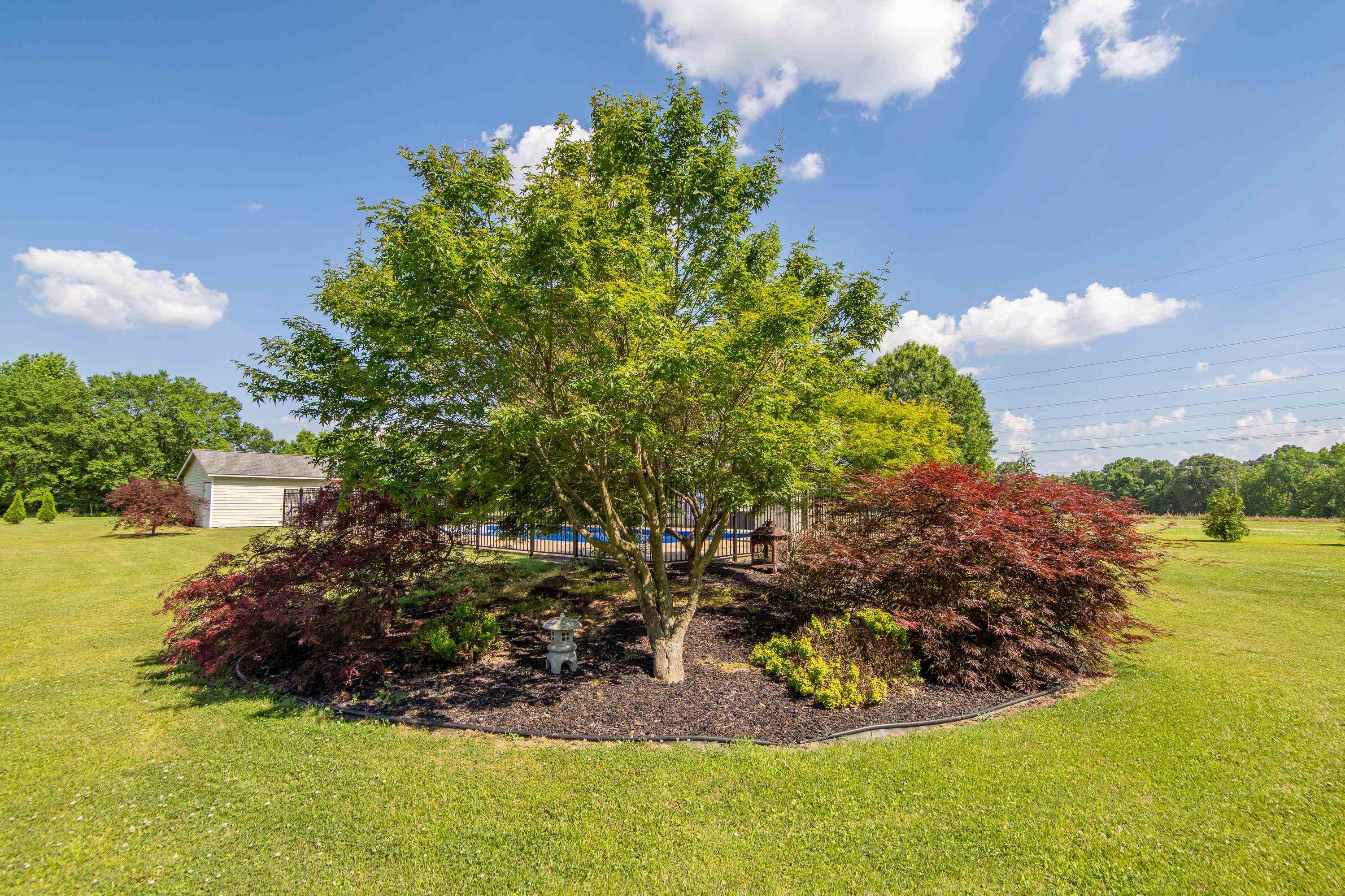 49 Mayo Cook Road Milan, TN 38358 - Photo 40 of 48 Photo 40