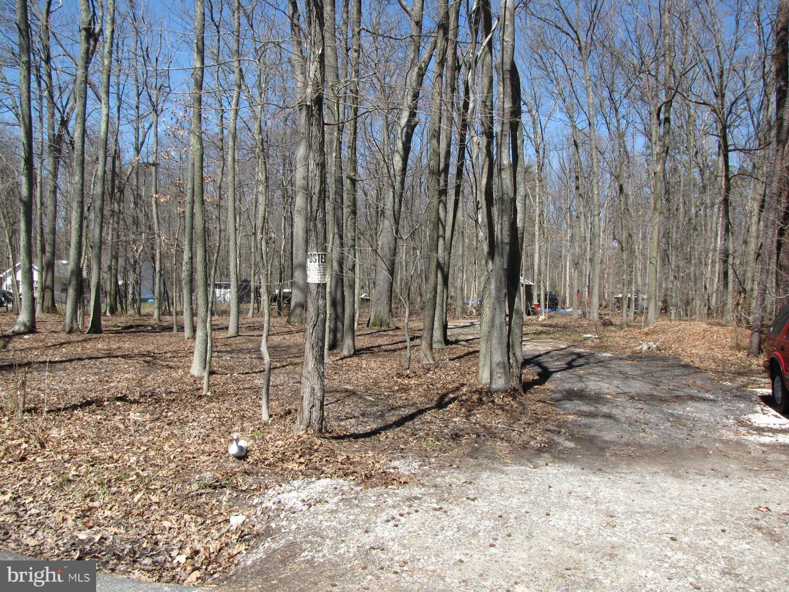 5834 Loreley Beach Road White Marsh, MD 21162 - Photo 1 of 2 a view of a backyard with trees