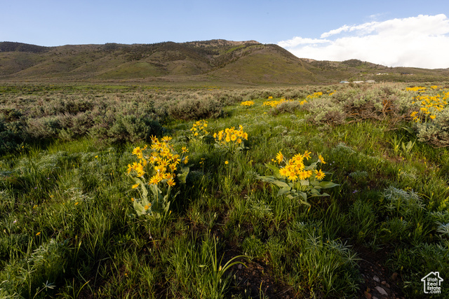 1115 East Hoyt Peak Ranch Road, Unit 4 Kamas, UT 84036 - Photo 8 of 16