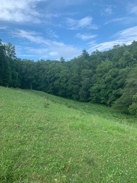 691 Dry Branch Road Hazel Green, KY 41332 - Photo 16 of 33 IMG_4318