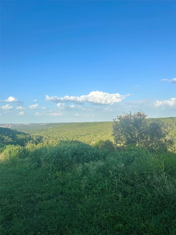 10519 Ridge Rim Drive Leander, TX 78641 - Photo 5 of 12 a view of an ocean and a mountain