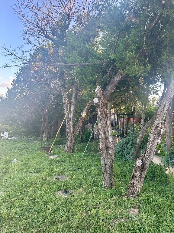 10519 Ridge Rim Drive Leander, TX 78641 - Photo 6 of 12 a view of a house with a park