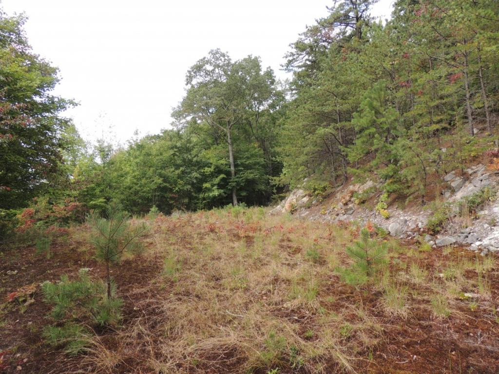 Tbd Locust Gap Road, Unit 9 Mountain City, TN 37683 - Photo 11 of 19 Photo 11