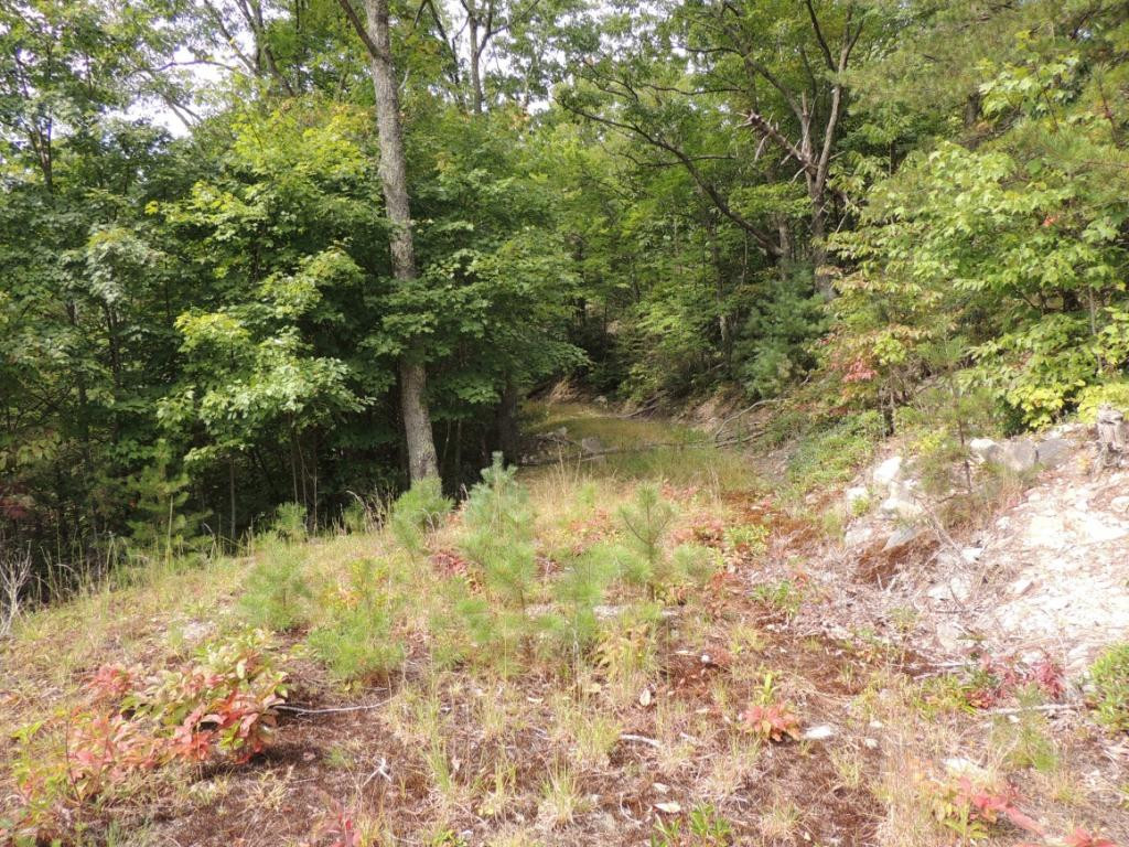 Tbd Locust Gap Road, Unit 9 Mountain City, TN 37683 - Photo 12 of 19 Photo 12