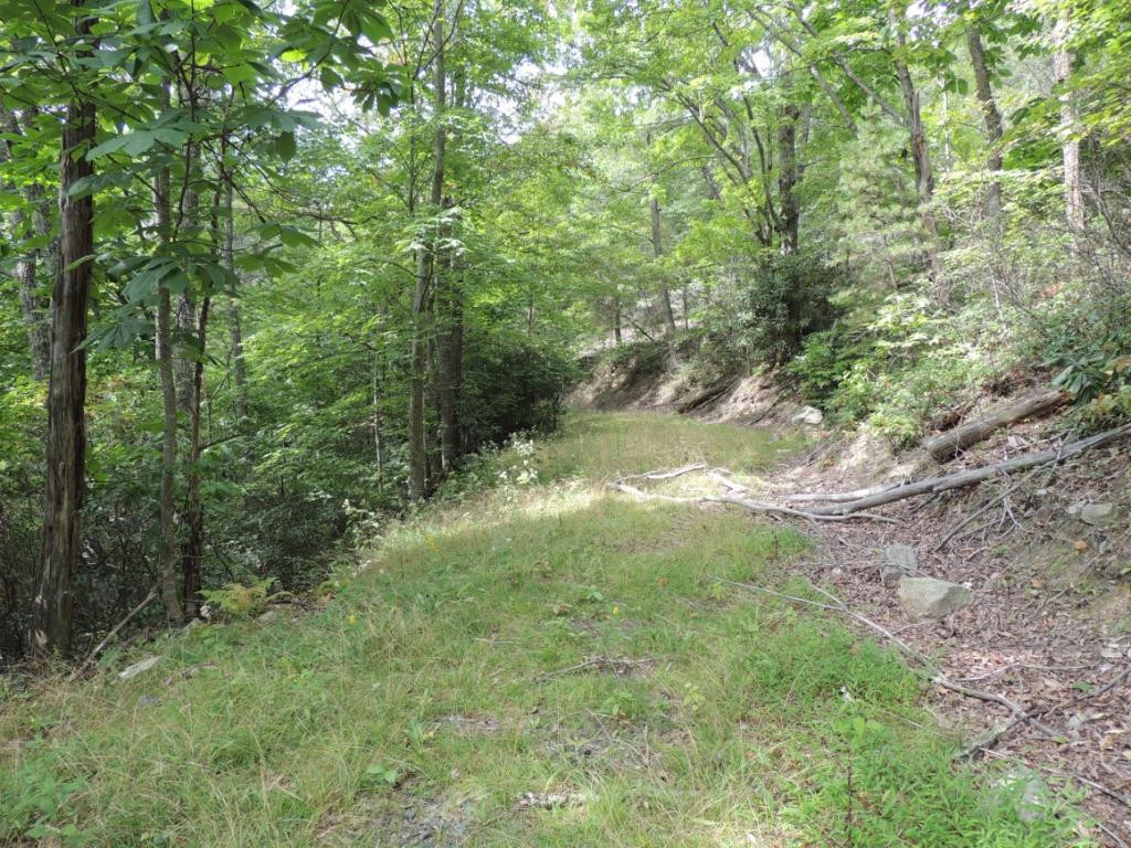Tbd Locust Gap Road, Unit 9 Mountain City, TN 37683 - Photo 13 of 19 Photo 13