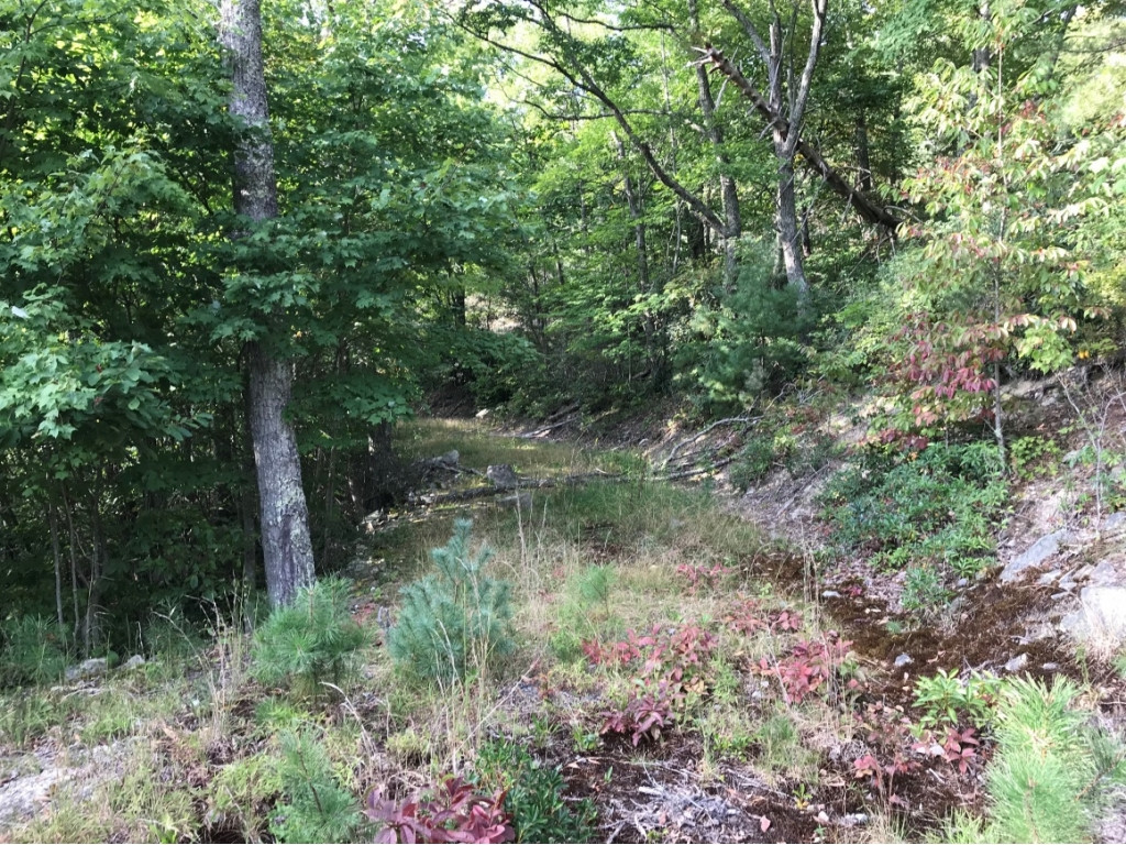 Tbd Locust Gap Road, Unit 9 Mountain City, TN 37683 - Photo 18 of 19 Photo 18