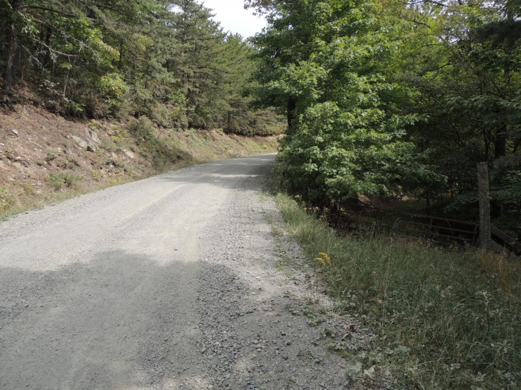 Tbd Locust Gap Road, Unit 9 Mountain City, TN 37683 - Photo 3 of 19 Photo 3