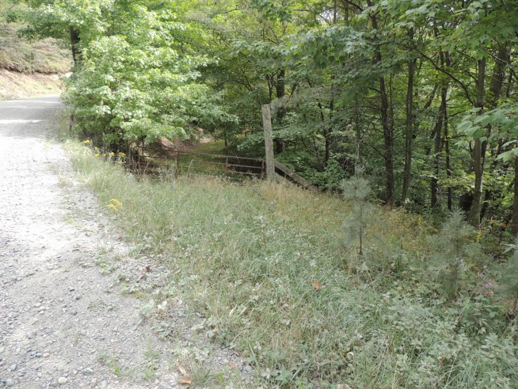 Tbd Locust Gap Road, Unit 9 Mountain City, TN 37683 - Photo 4 of 19 Photo 4