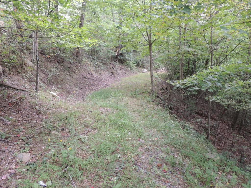Tbd Locust Gap Road, Unit 9 Mountain City, TN 37683 - Photo 5 of 19 Photo 5