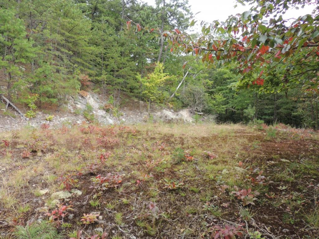 Tbd Locust Gap Road, Unit 9 Mountain City, TN 37683 - Photo 8 of 19 Photo 8
