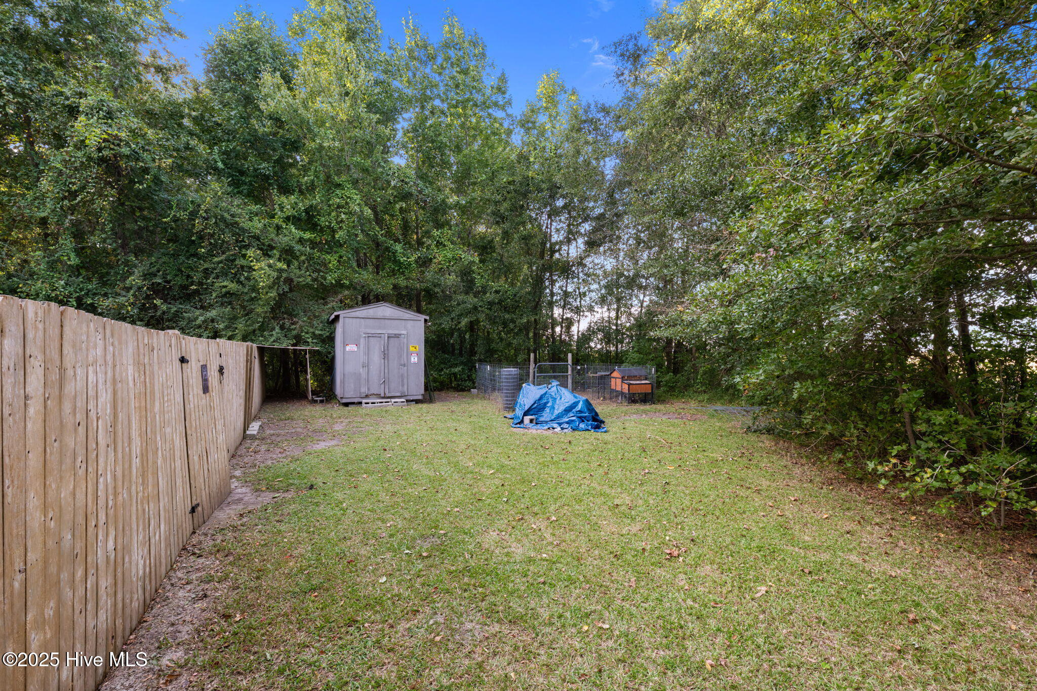 641 Mill Pond Road Bayboro, NC 28515 - Photo 38 of 38 Shed and Chicken coop