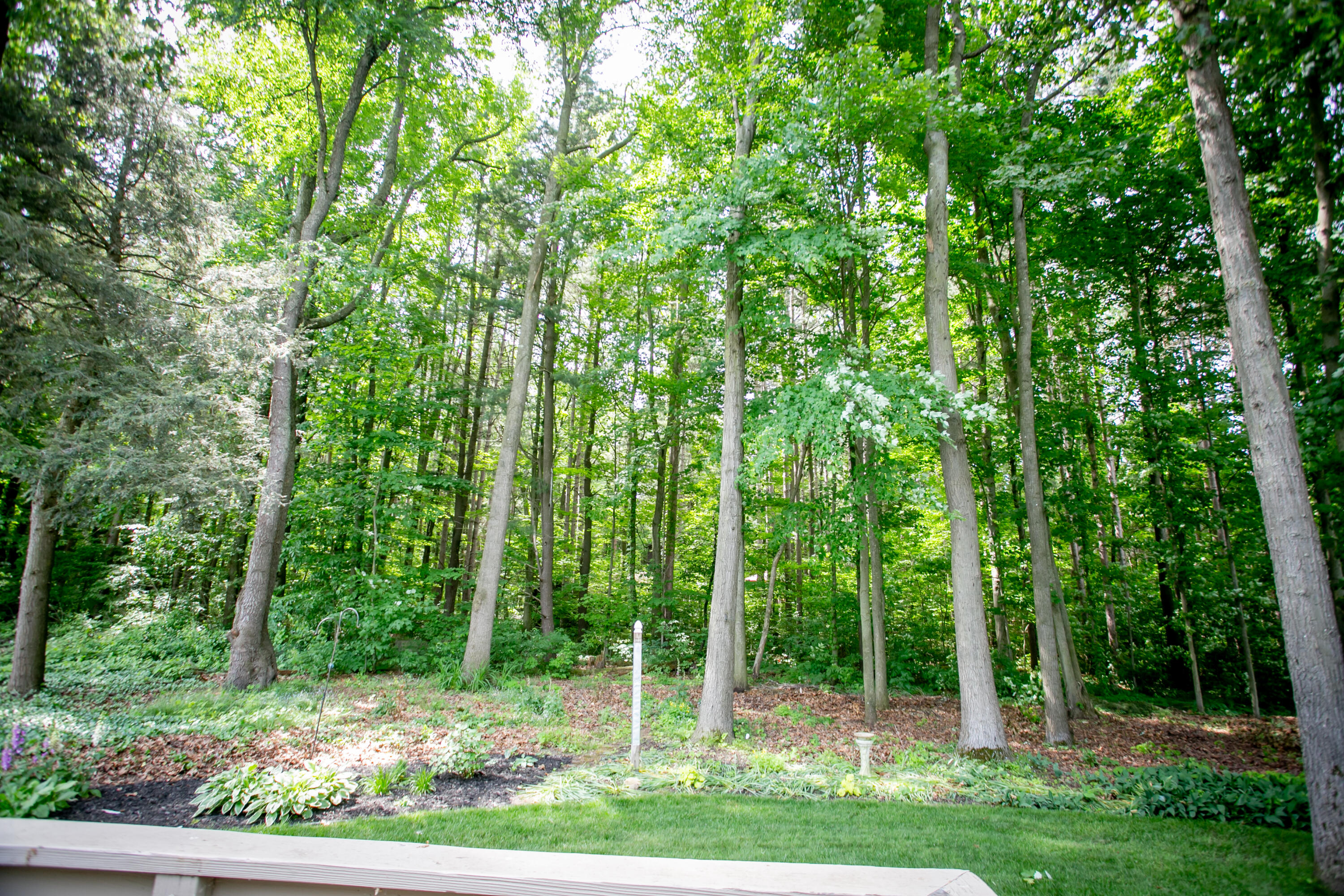 16772 Bridlepath Spring Lake, MI 49456 - Photo 46 of 61 Bridlepath-8836