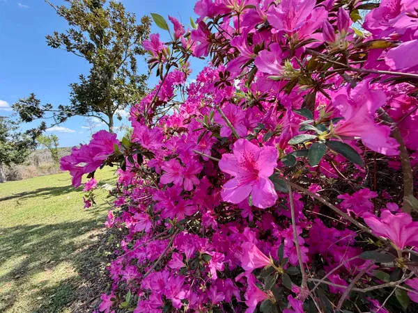 $588,500 | 588 Northwest Pickle Lane, Madison, FL 32340