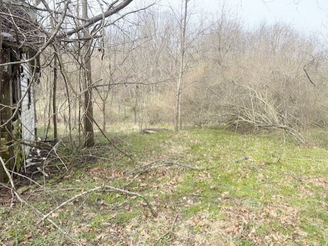 Tbd Rome Road Max Meadows, VA 24360 - Photo 2 of 4 Gallery Image 2