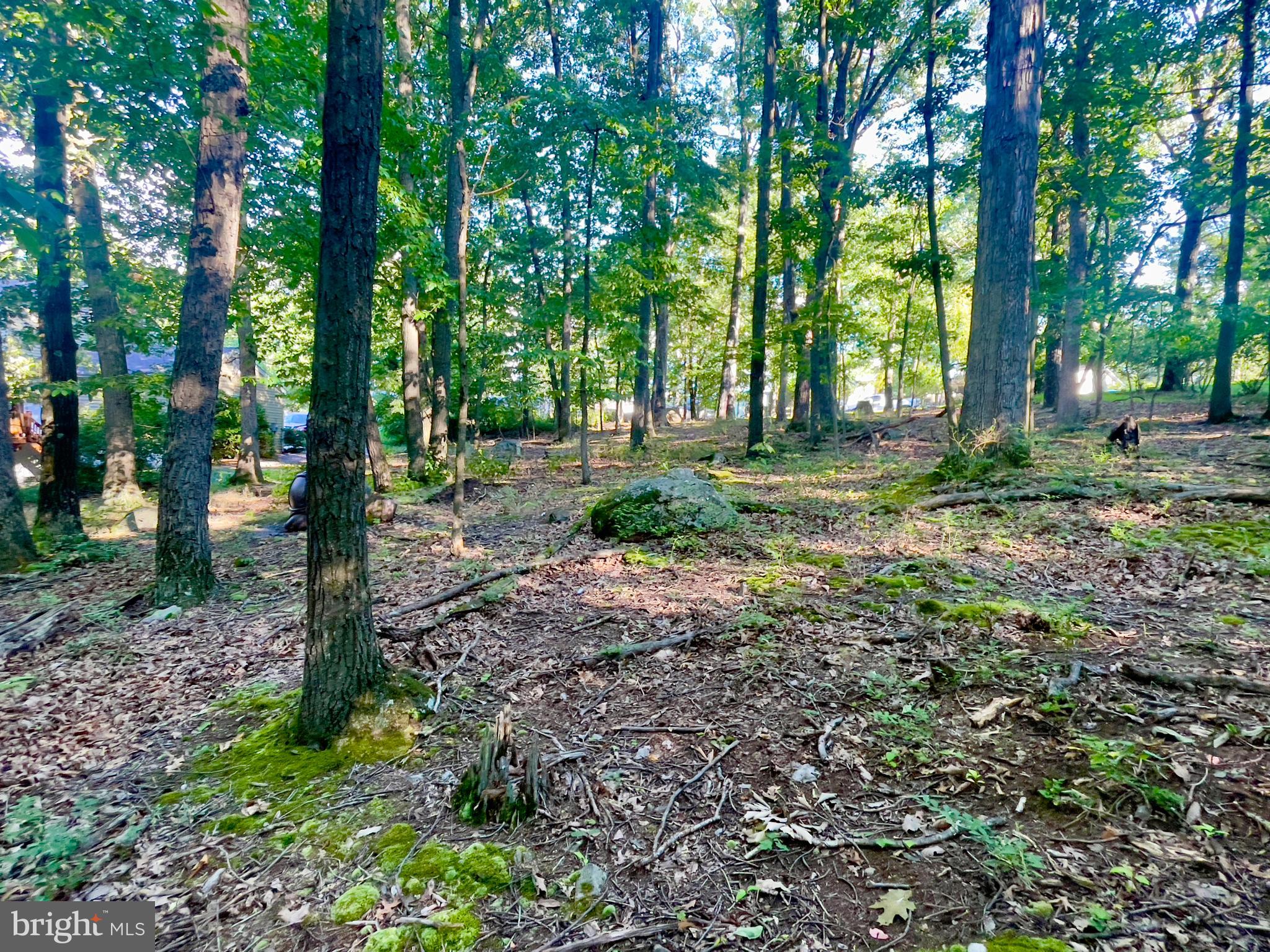 15121 Trail Ridge Road Southwest Cumberland, MD 21502 - Photo 101 of 120 RARE EXTRA BUILDING LOT