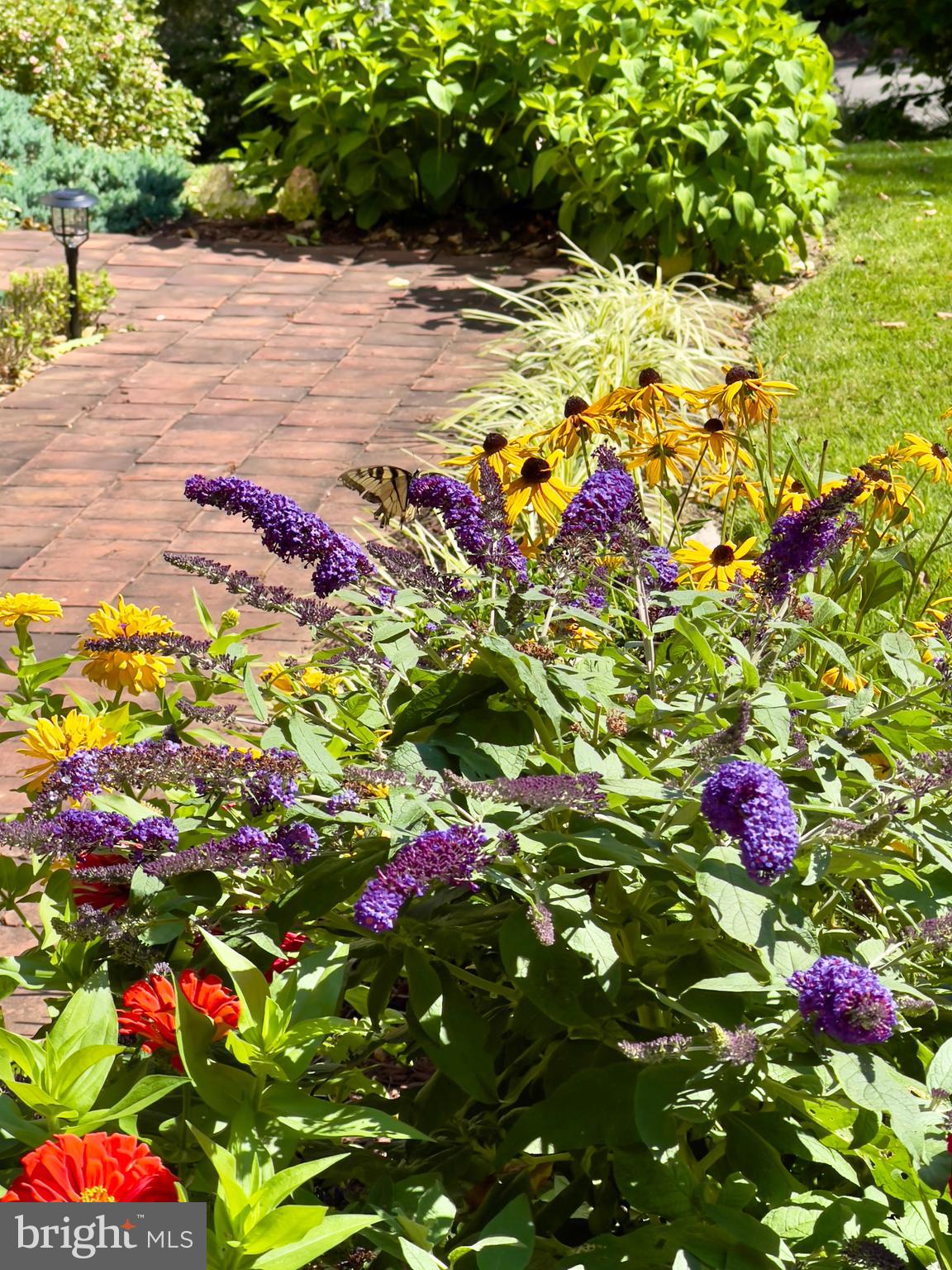 15121 Trail Ridge Road Southwest Cumberland, MD 21502 - Photo 4 of 120 THE MONARCH BUTTERFLY IS HERE TO GREET YOU!