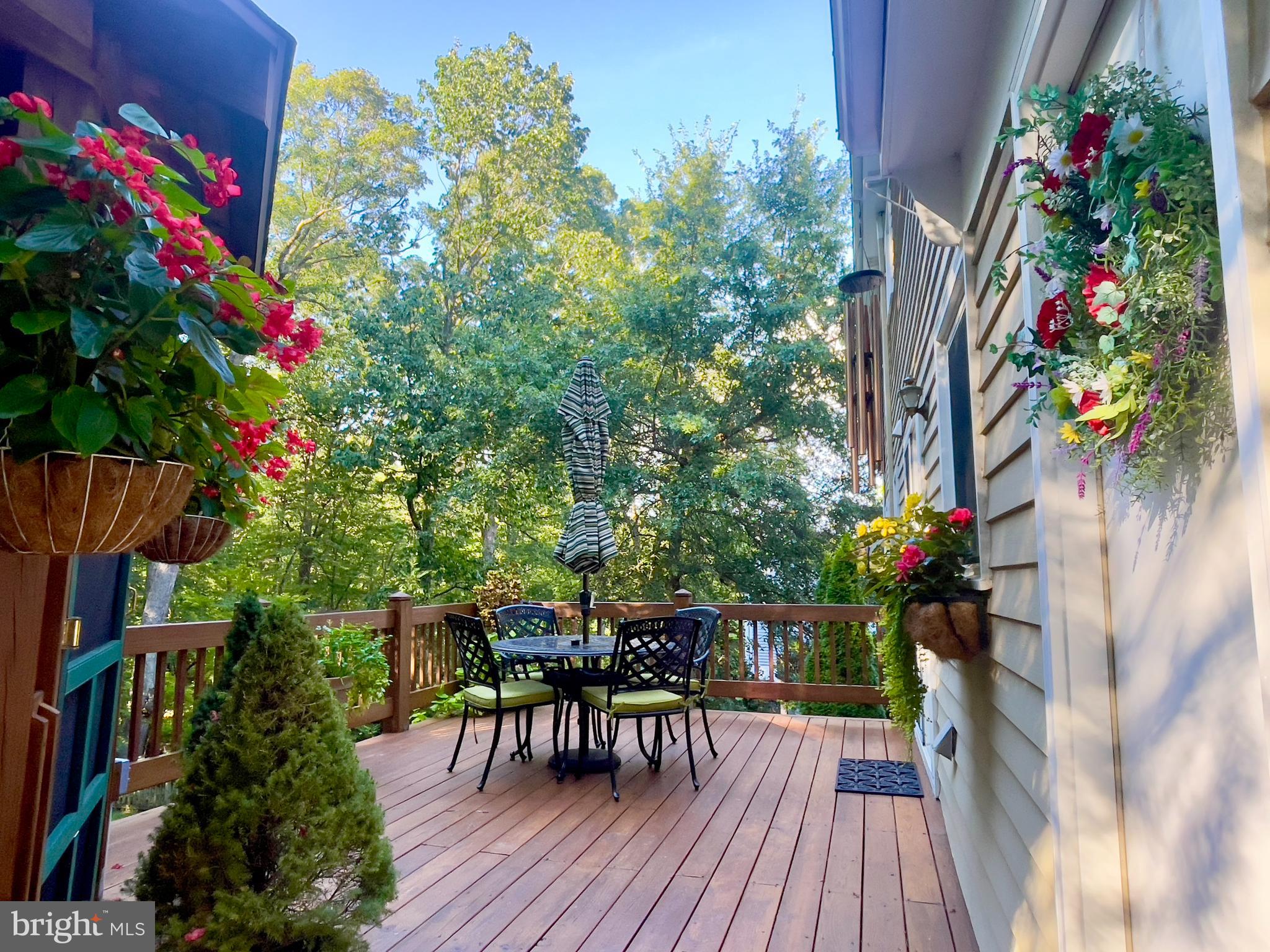 15121 Trail Ridge Road Southwest Cumberland, MD 21502 - Photo 6 of 120 OUTSIDE ENTERTAINING AT ITS FINEST!