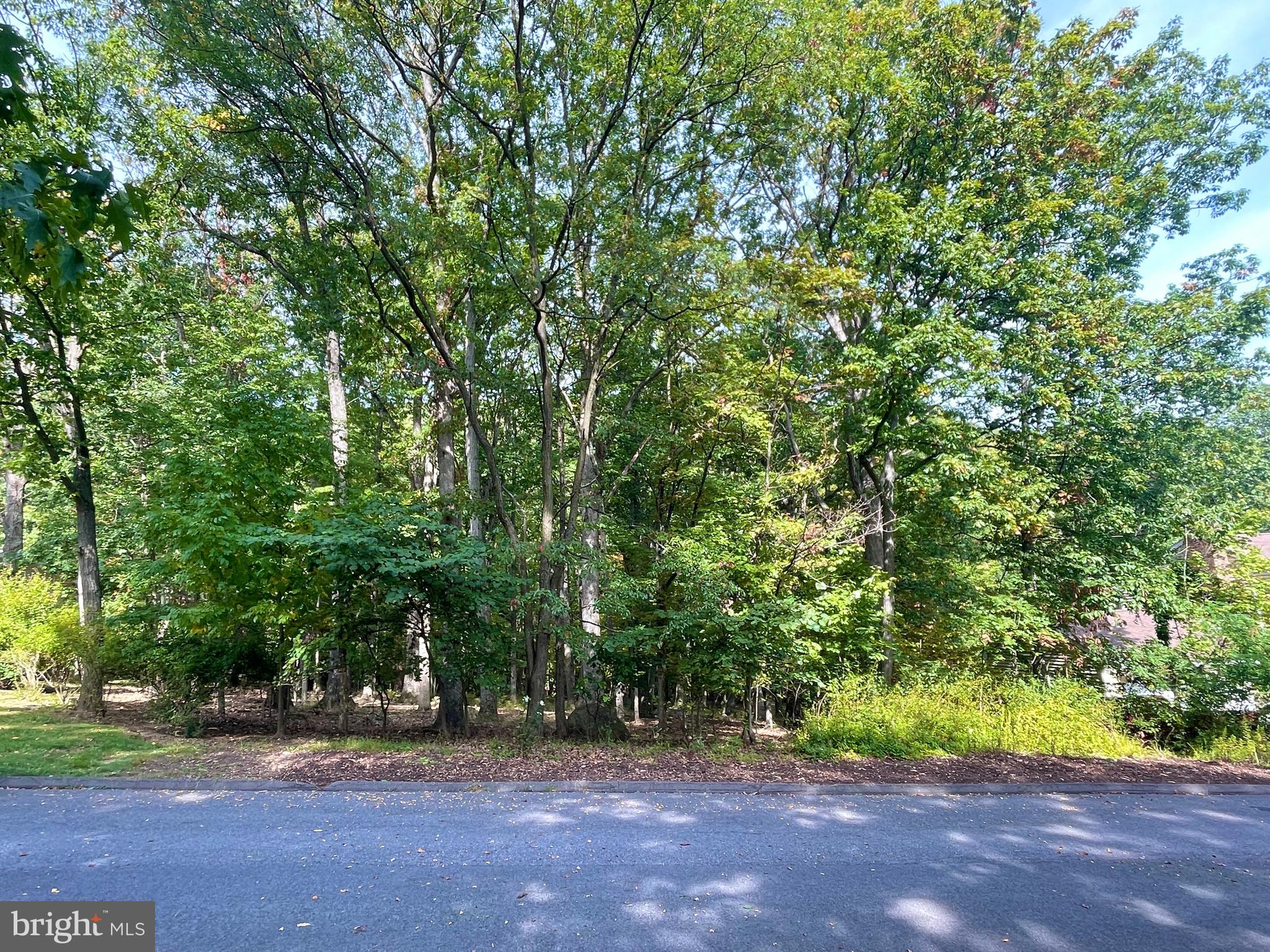 15121 Trail Ridge Road Southwest Cumberland, MD 21502 - Photo 97 of 120 ADJOINING EXTRA BUILDING LOT