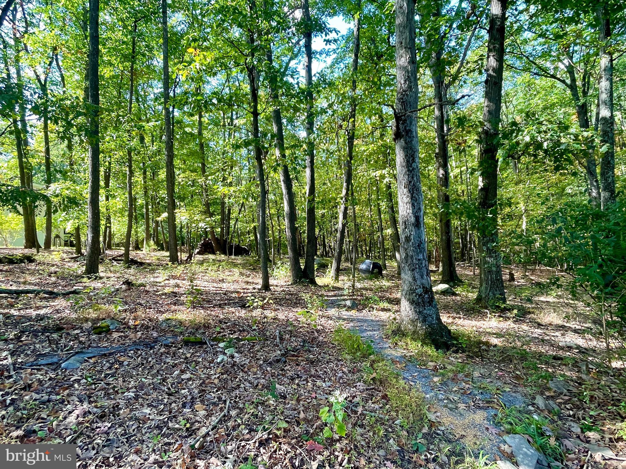 15121 Trail Ridge Road Southwest Cumberland, MD 21502 - Photo 98 of 120 RARE EXTRA BUILDING LOT