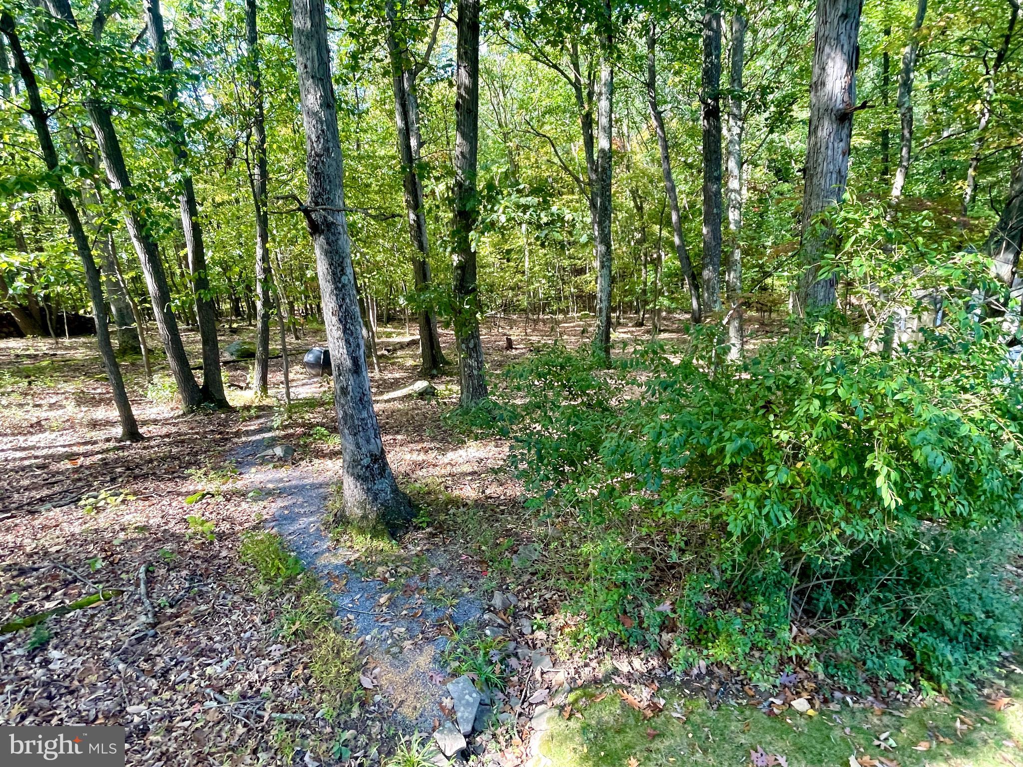 15121 Trail Ridge Road Southwest Cumberland, MD 21502 - Photo 99 of 120 RARE EXTRA BUILDING LOT