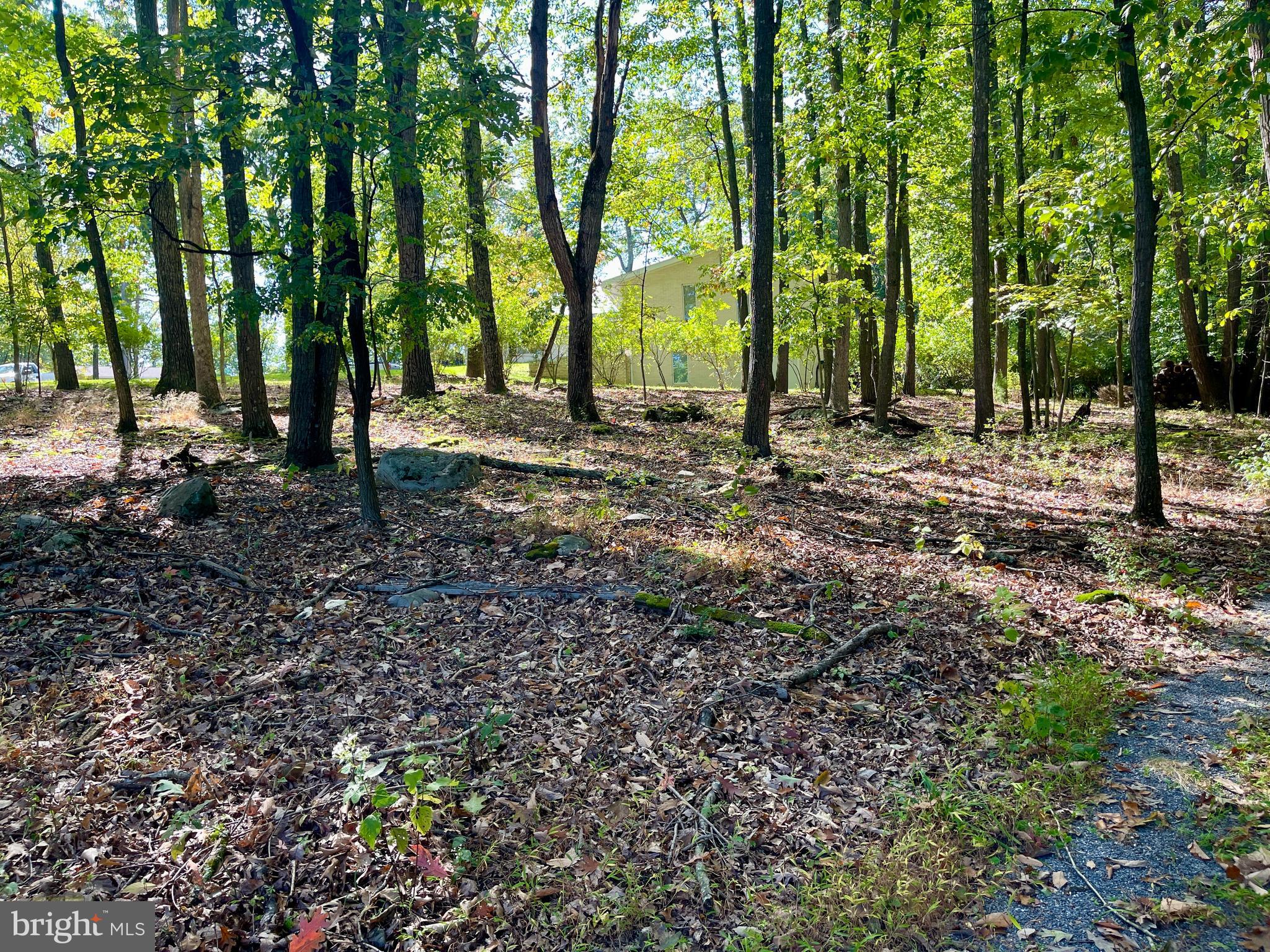 15121 Trail Ridge Road Southwest Cumberland, MD 21502 - Photo 100 of 120 RARE EXTRA BUILDING LOT