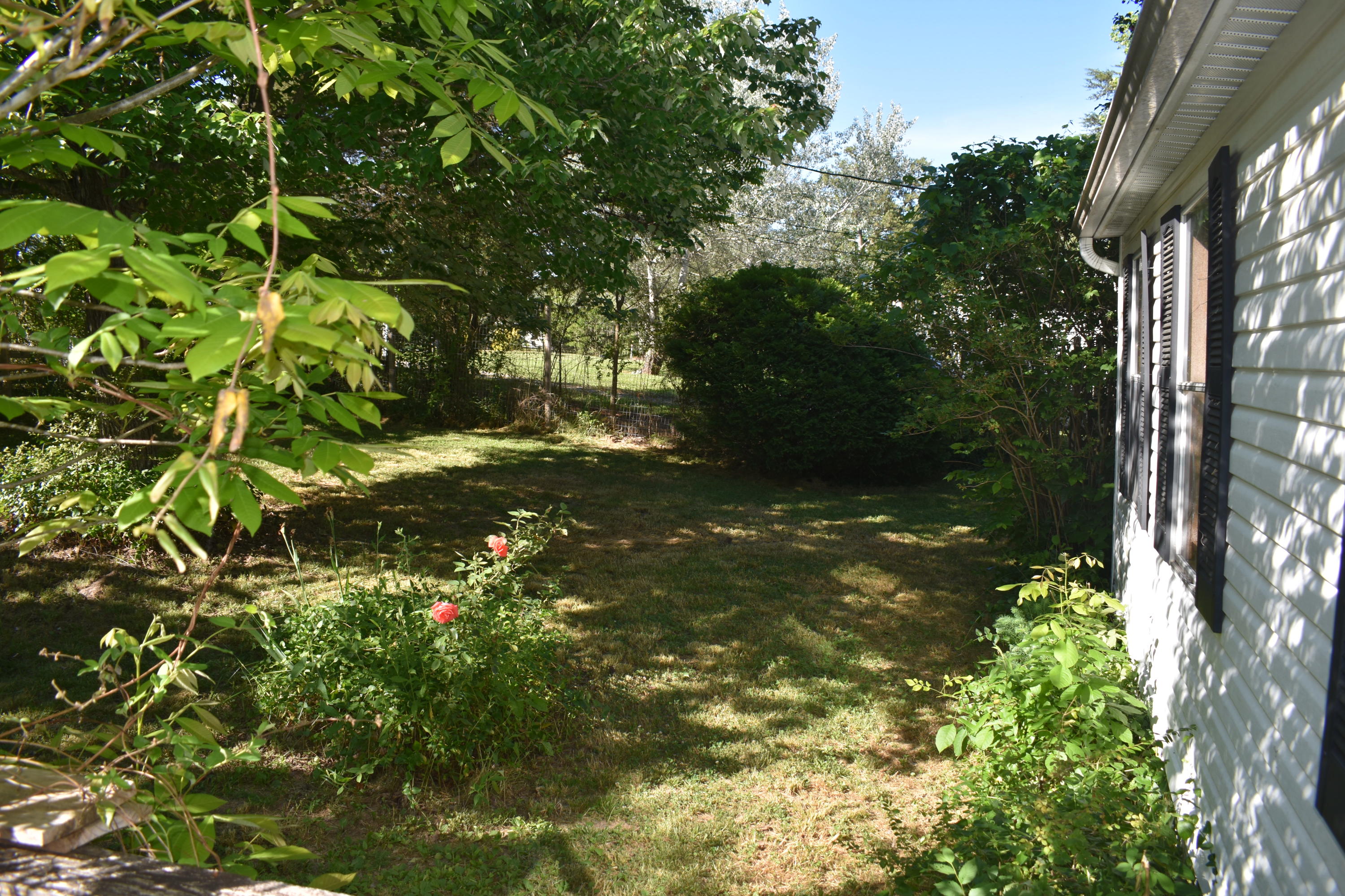 179 3rd Street Corryton, TN 37721 - Photo 1 of 15 DSC_0004