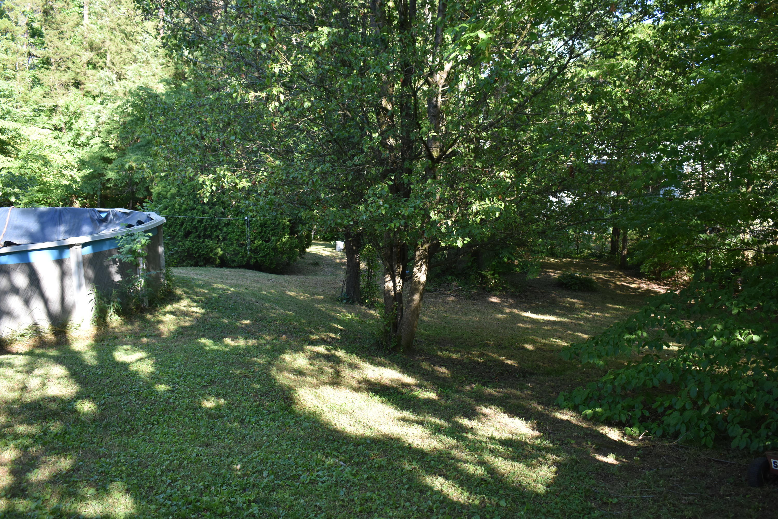 179 3rd Street Corryton, TN 37721 - Photo 12 of 15 DSC_0029