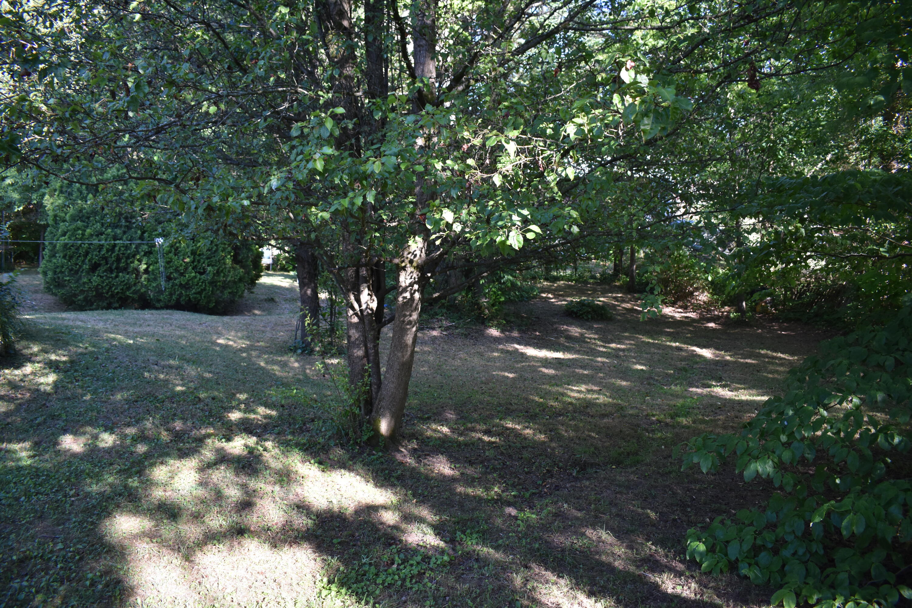 179 3rd Street Corryton, TN 37721 - Photo 13 of 15 DSC_0031