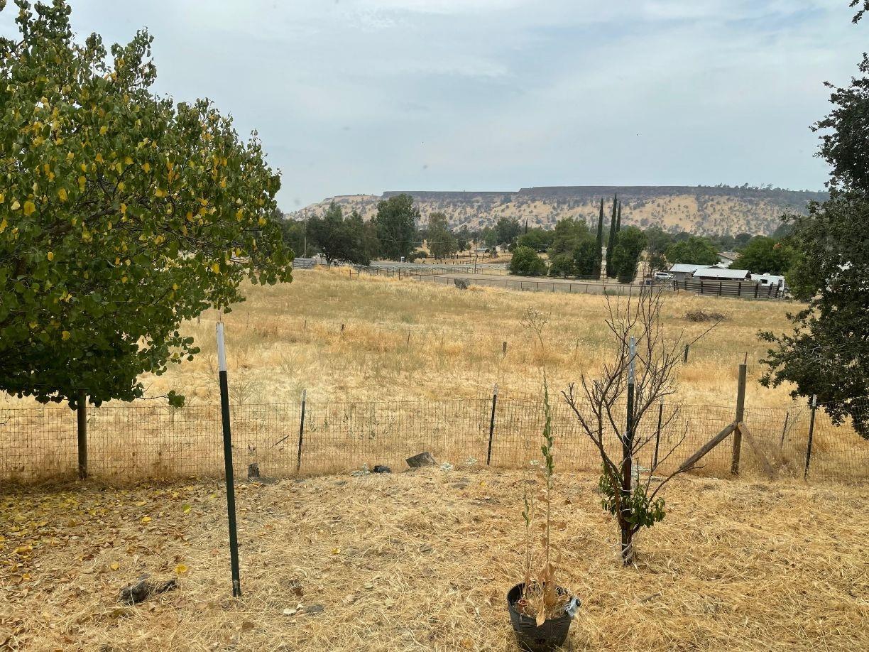 25187 Auberry Road Clovis, CA 93619 - Photo 35 of 58 a view of a yard with an ocean view
