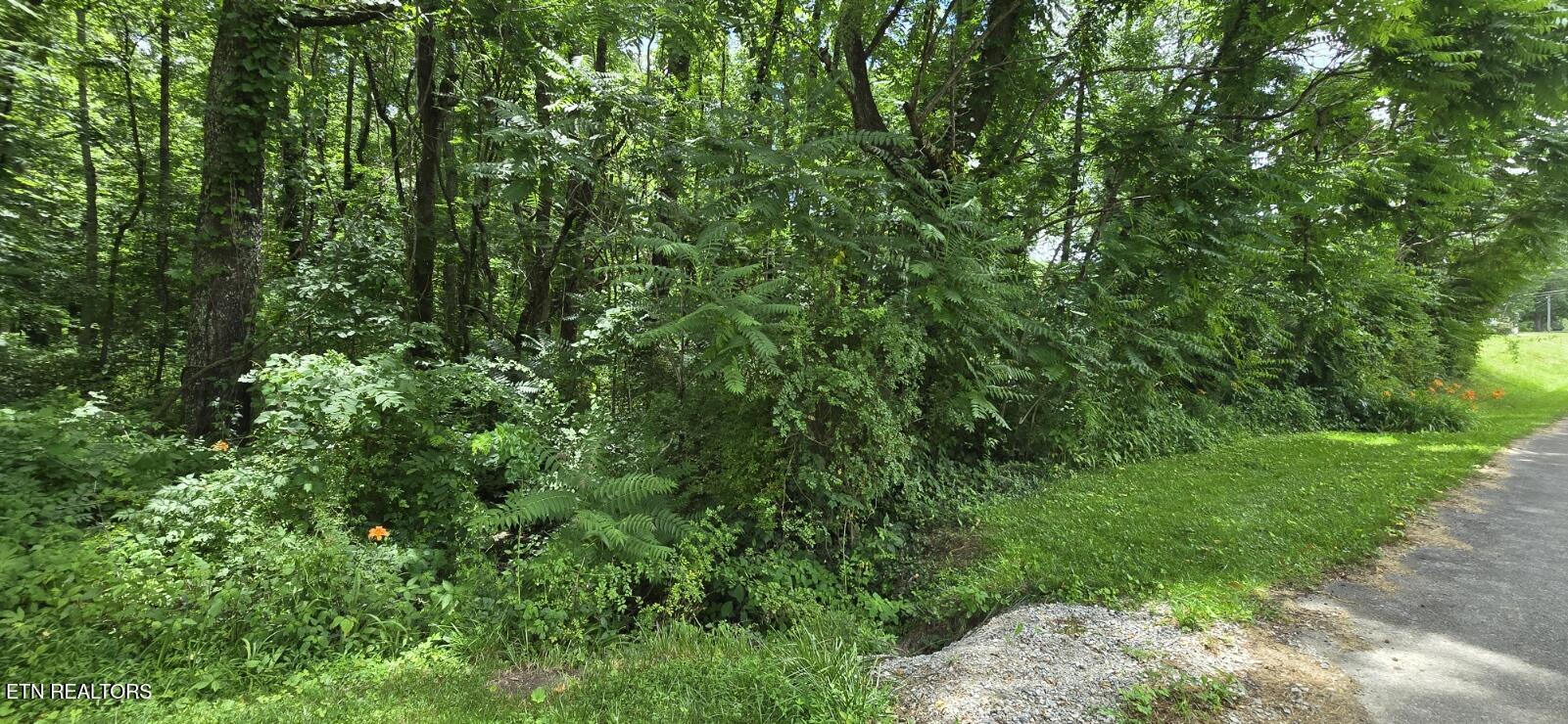 Shady Lane Oneida, TN 37841 - Photo 5 of 8 20260612_134708