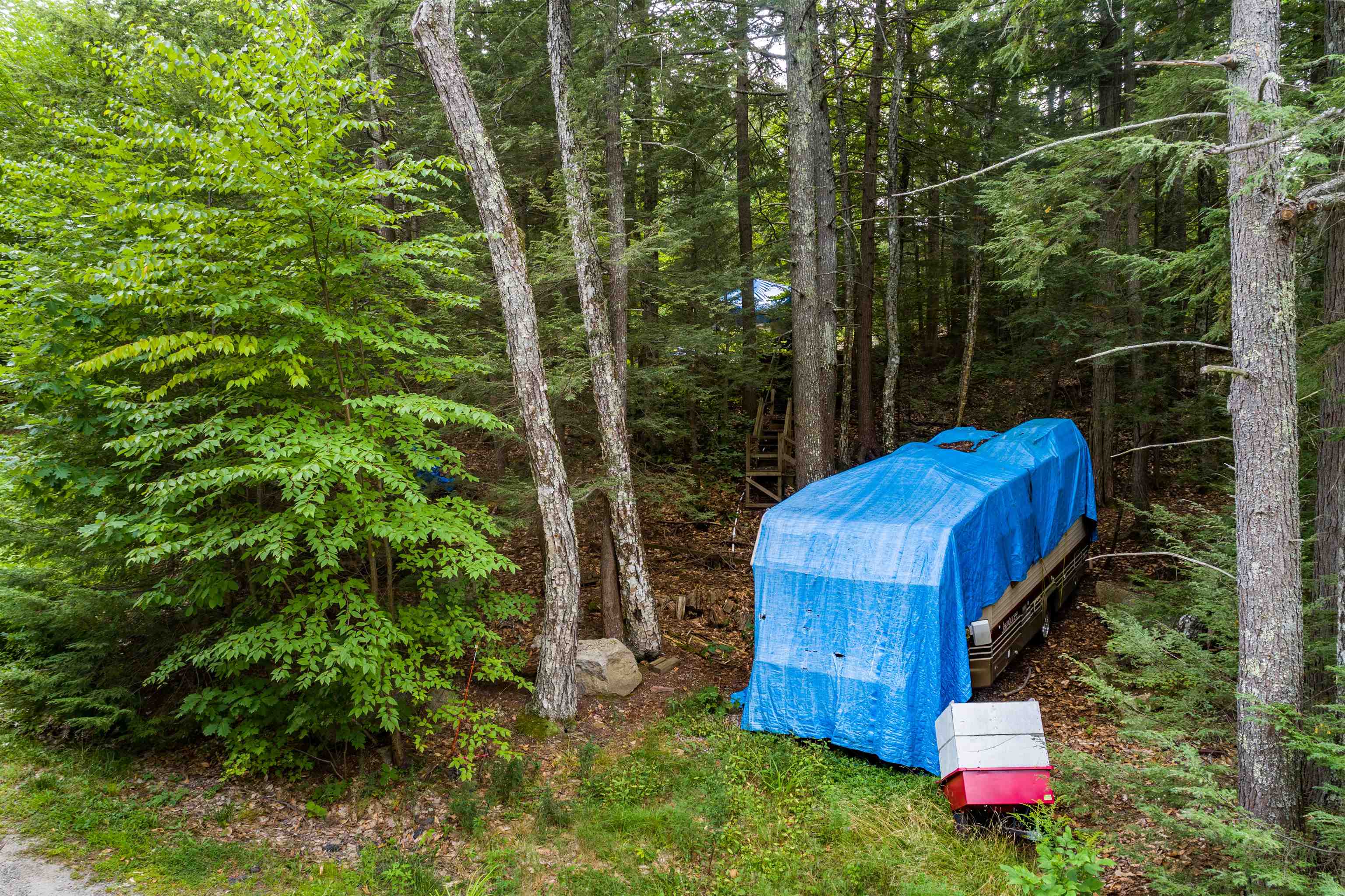 57 Indian Shore Road Alton, NH 03810 - Photo 32 of 39 Gallery Image 32