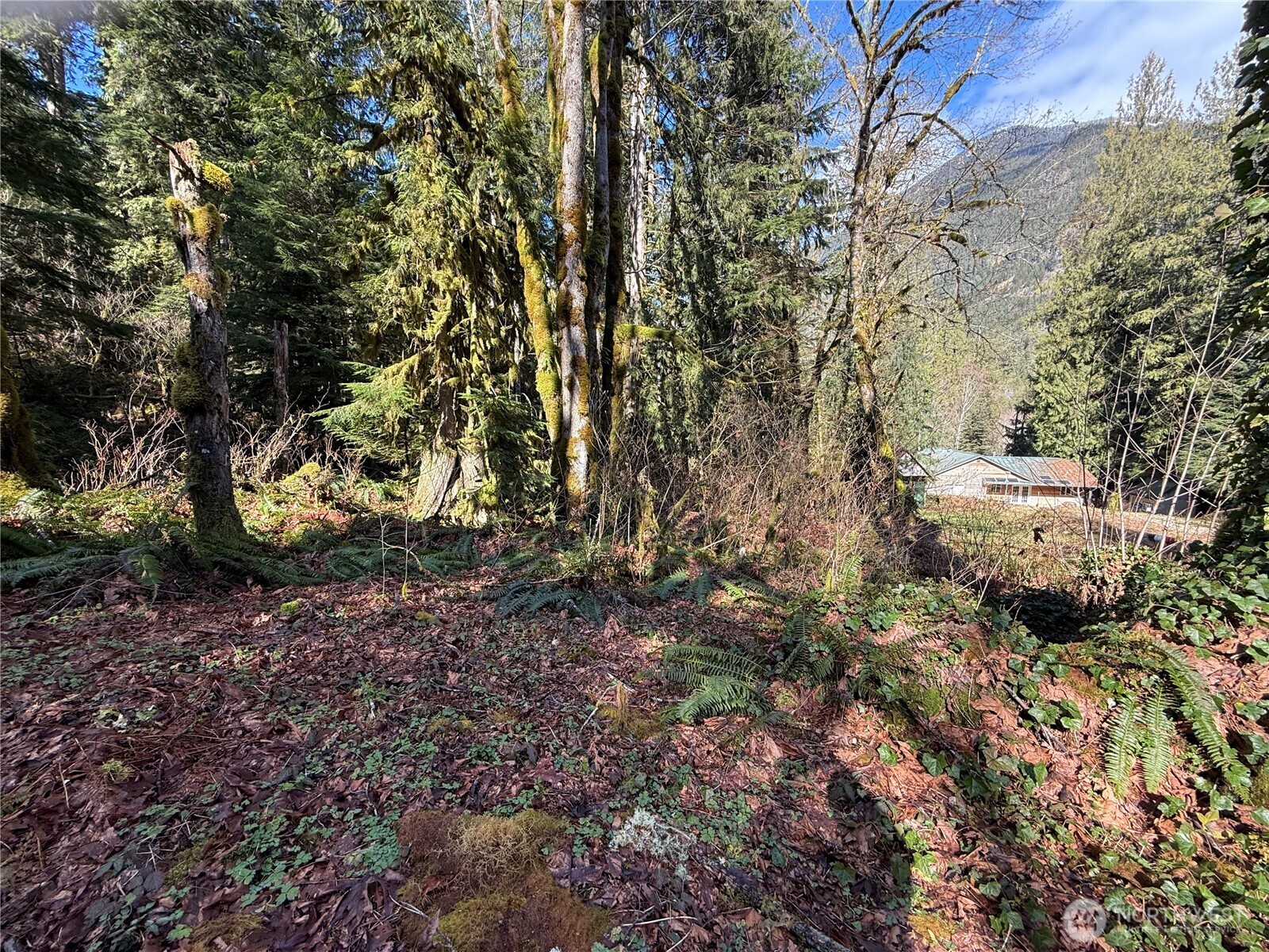 0 High Ridge Drive Marblemount, WA 98267 - Photo 4 of 5