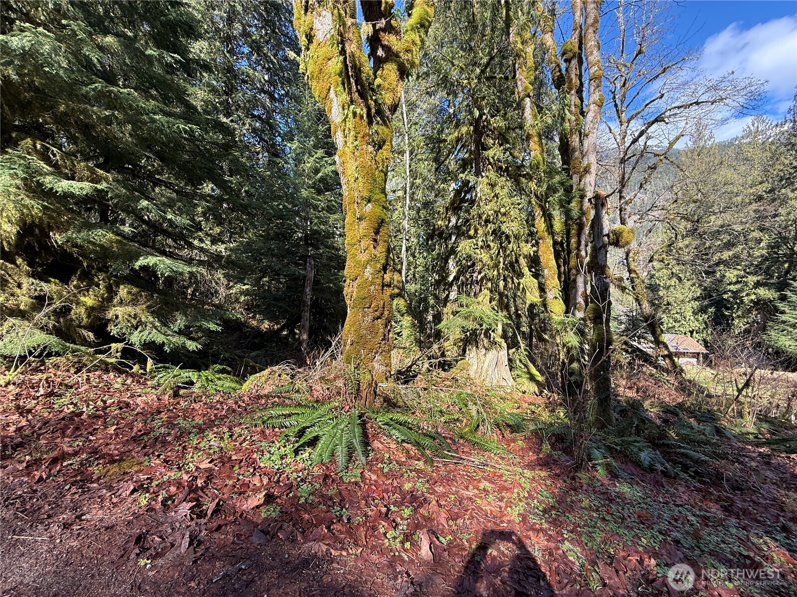 0 High Ridge Drive Marblemount, WA 98267 - Photo 5 of 5