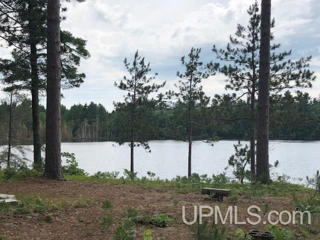 Tbd Adams Trail Seney, MI 49883 - Photo 7 of 16