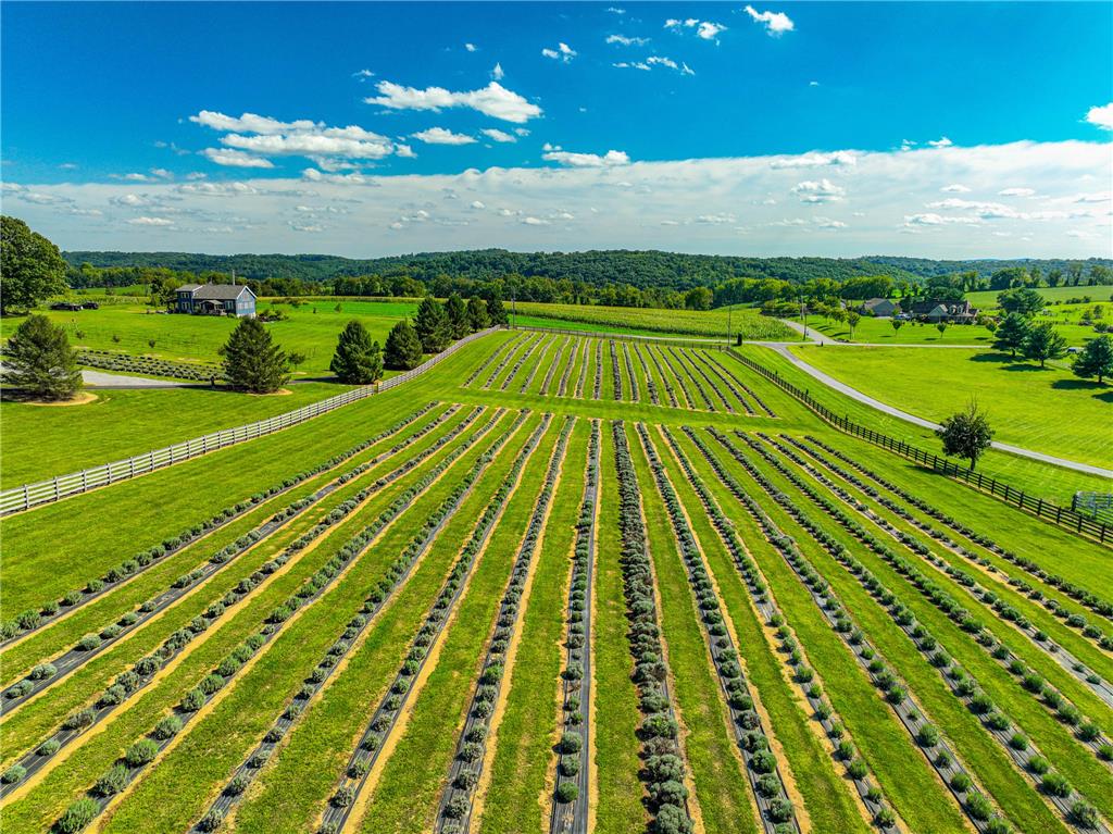 63 Long Road Lenhartsville, PA 19534 - Photo 22 of 100 Rolling hills and manicured agricultural fields stretch under a wide blue sky.