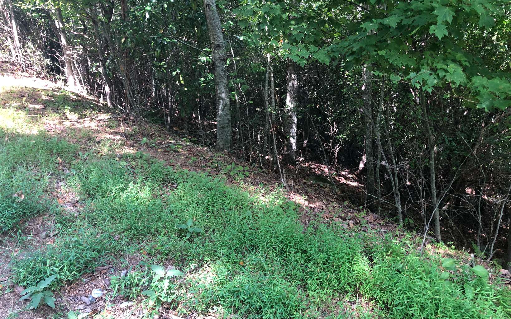 Lot15 Settlers Ridge Road Hiawassee, GA 30546 - Photo 11 of 11 Additional View