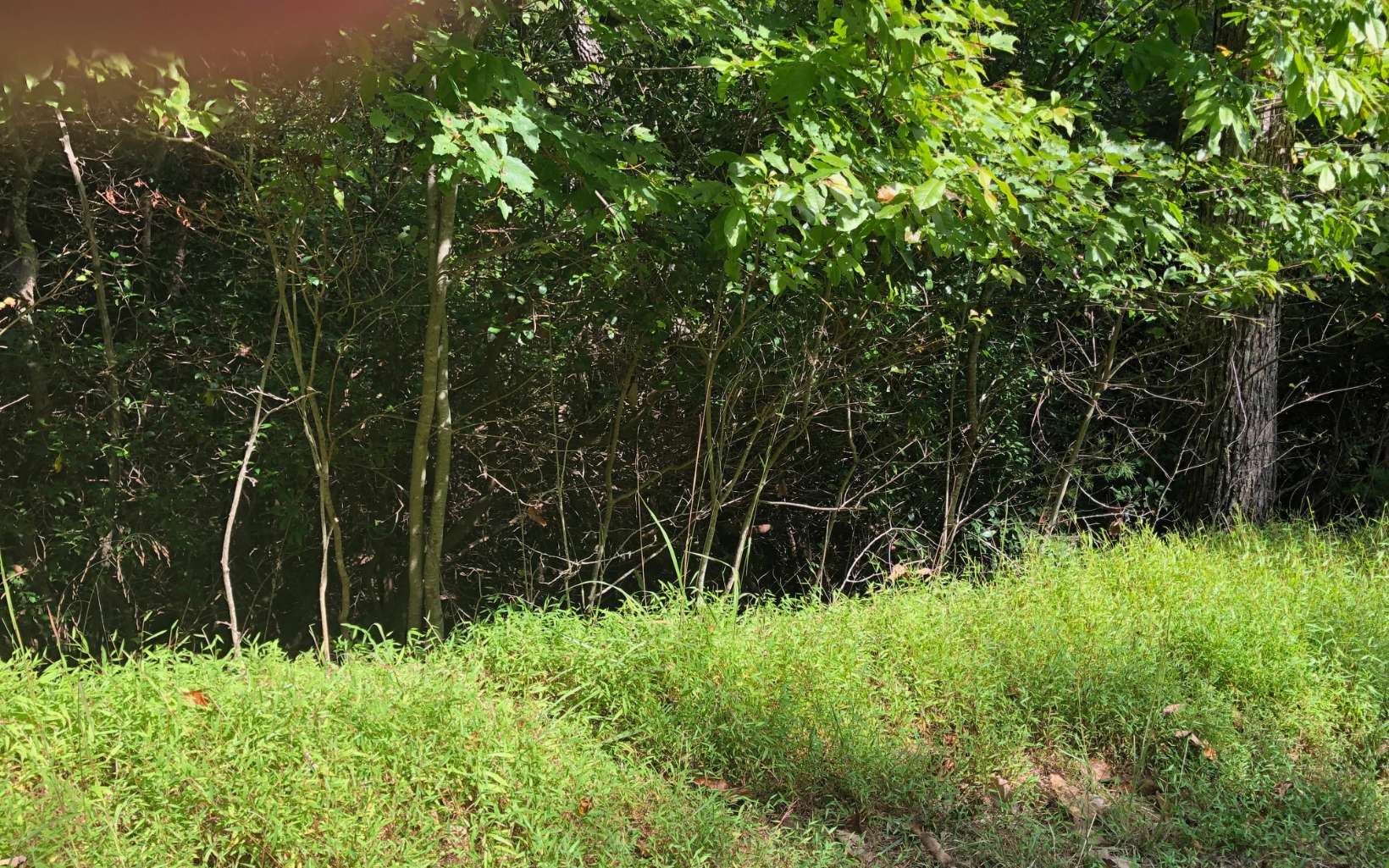 Additional View