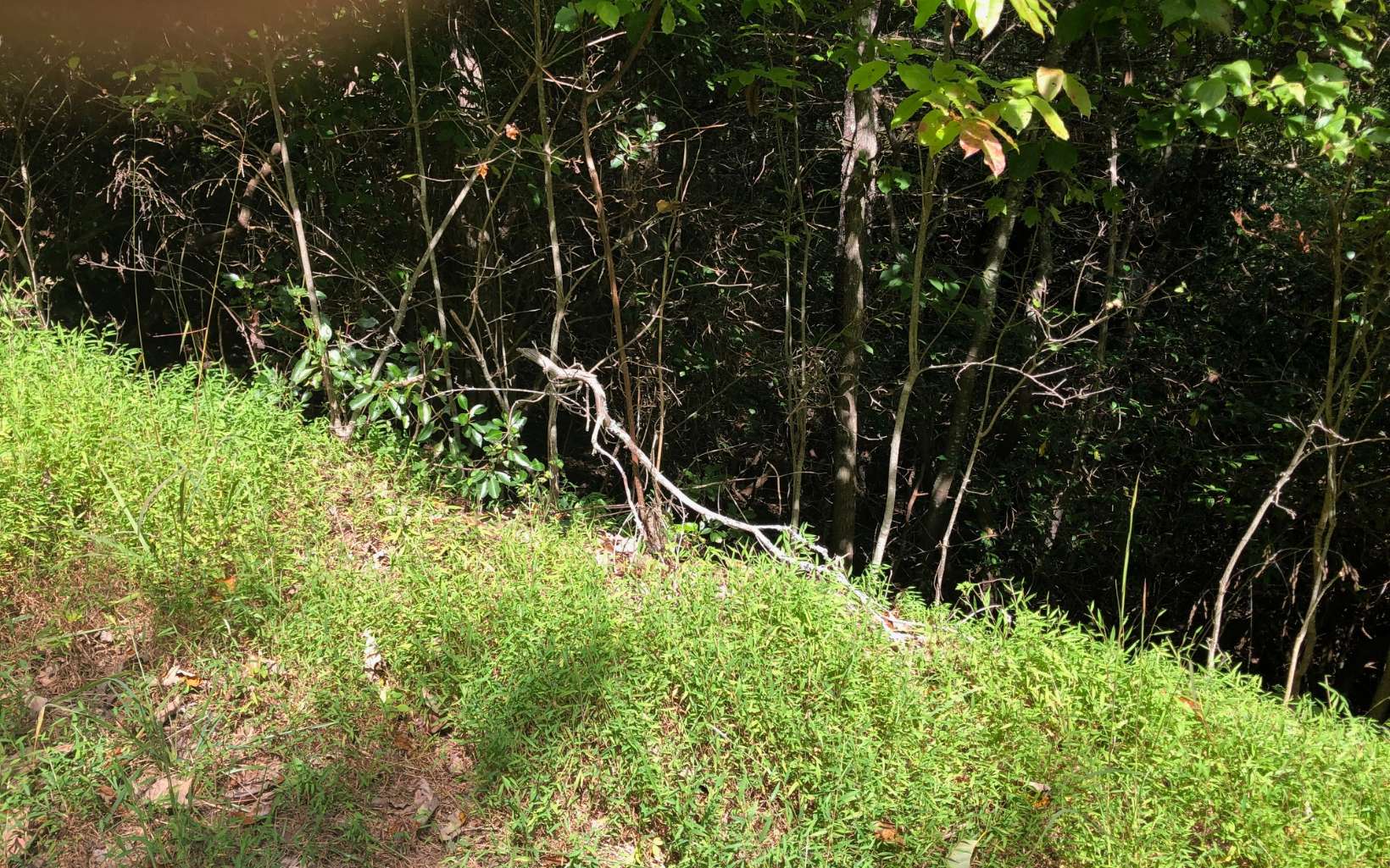Additional View