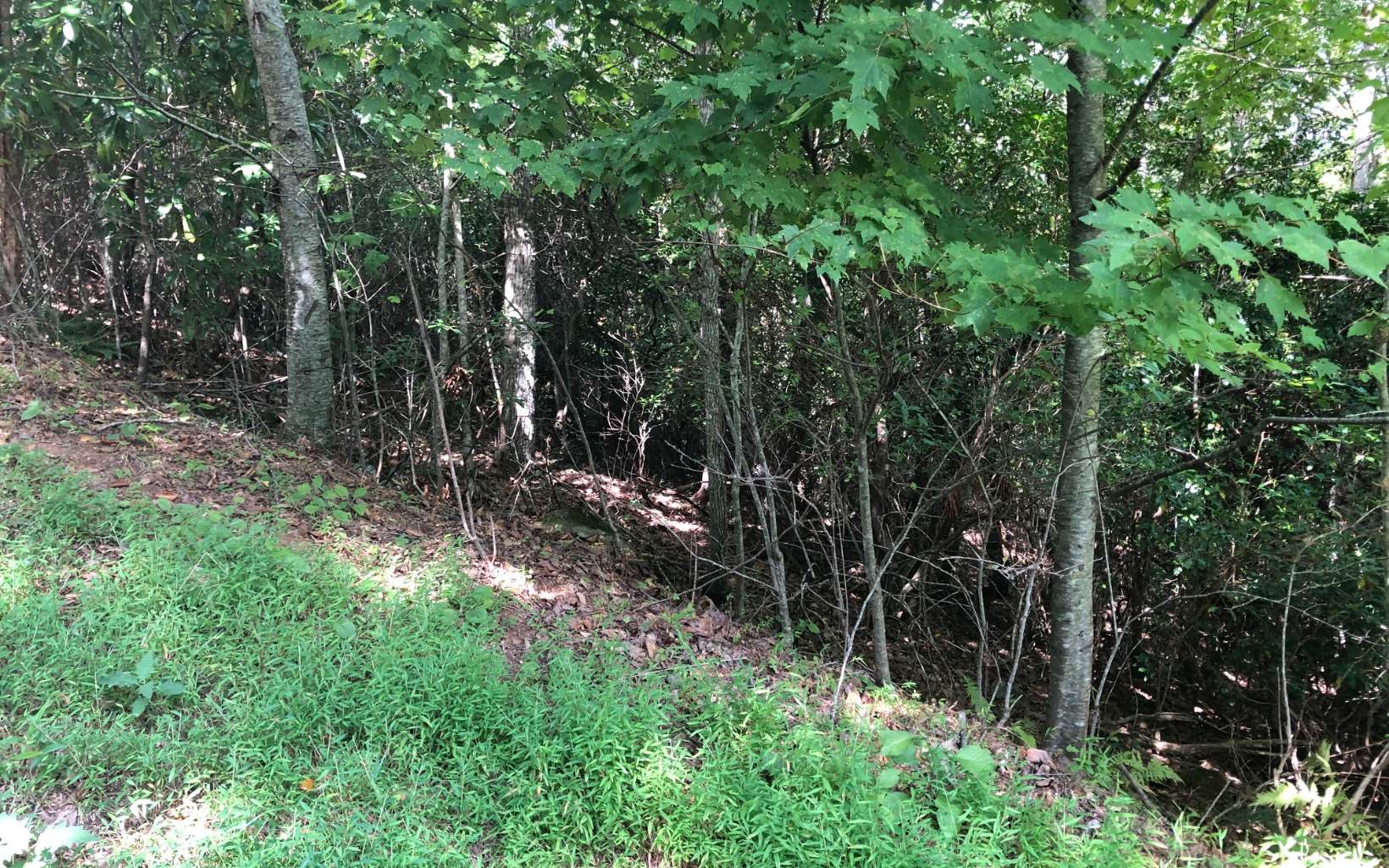 Additional View