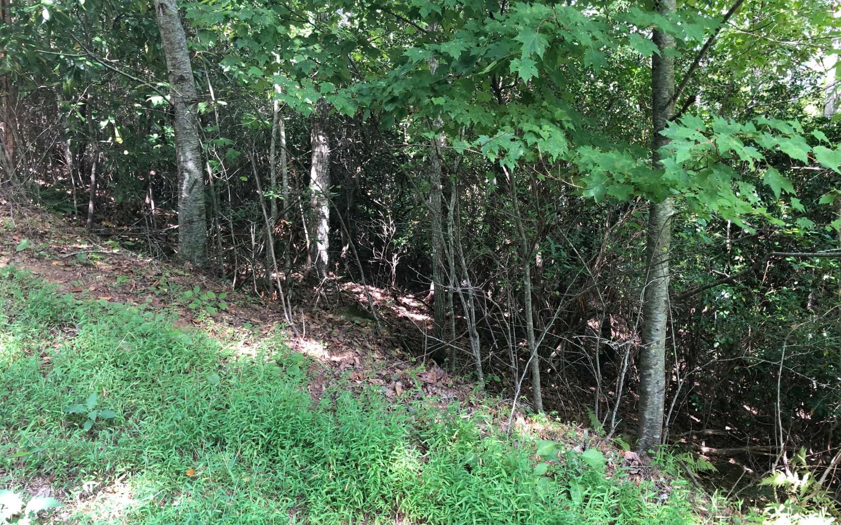 Lot15 Settlers Ridge Road Hiawassee, GA 30546 - Photo 8 of 11 Additional View