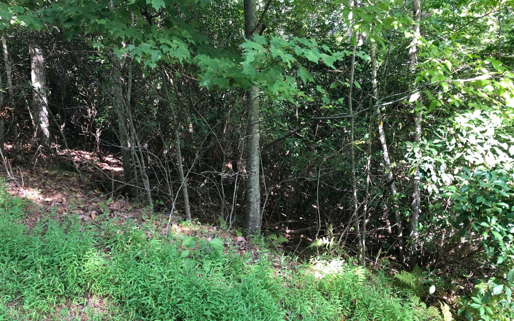 Lot15 Settlers Ridge Road Hiawassee, GA 30546 - Photo 10 of 11 Additional View