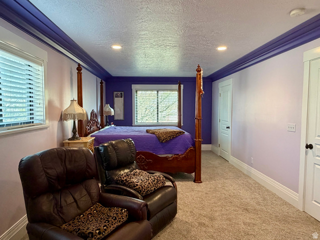 202 375 West Providence, UT 84332 - Photo 13 of 61 Bright premier bedroom featuring carpet, crown molding, a textured ceiling, and recessed lighting