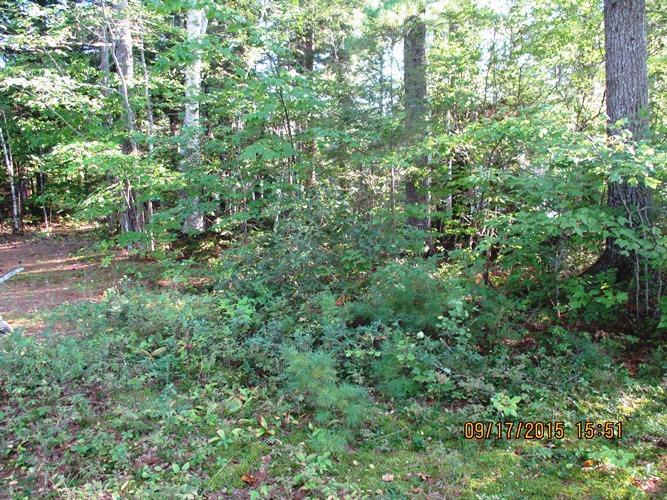 703 Ebeemee Lake Road Brownville, ME 04414 - Photo 17 of 22 Photo