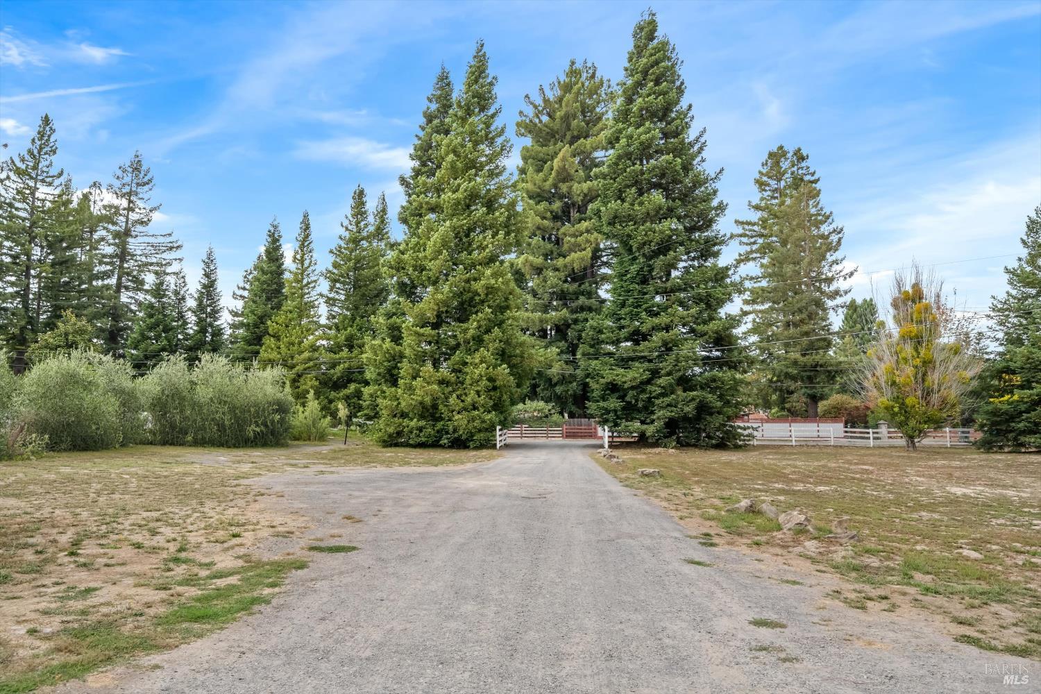 8157 Mill Station Road Sebastopol, CA 95472 - Photo 3 of 27 a view of a field with trees in the background
