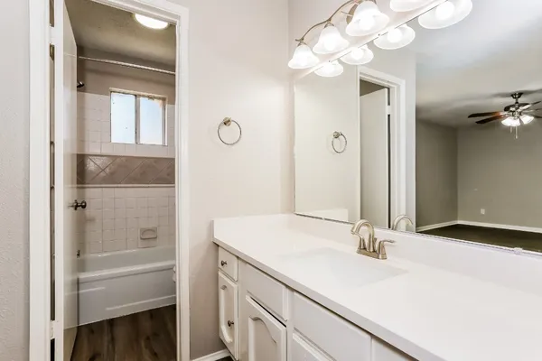 a bathroom with a sink vanity and a mirror