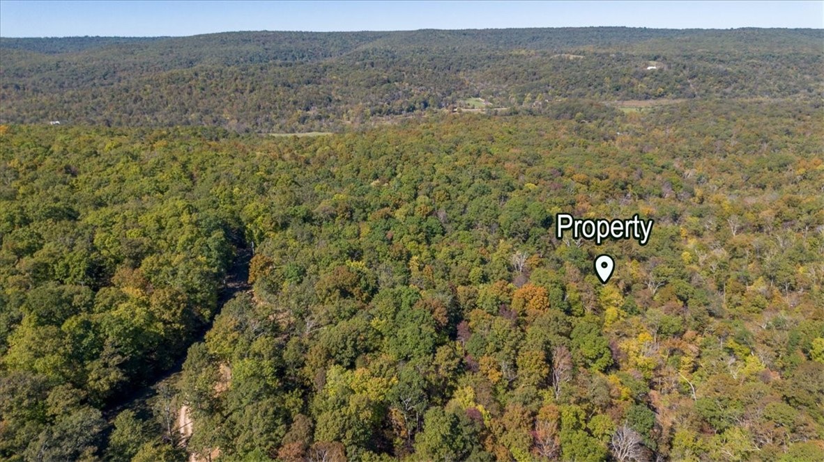 Tbd Pierson Road West Fork, AR 72774 - Photo 14 of 30 Gallery Image 14